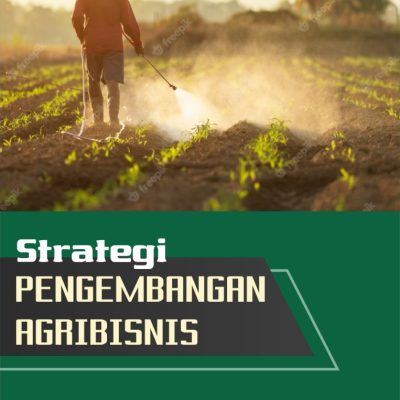 STRATEGI PENGEMBANGAN AGRIBISNIS