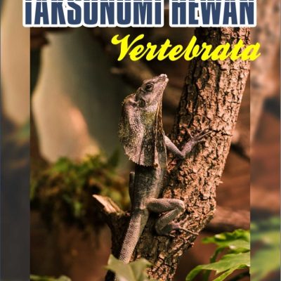 TAKSONOMI HEWAN VERTEBRATA