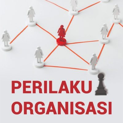 PERILAKU ORGANISASI