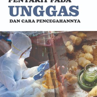 PENYAKIT PADA UNGGAS DAN CARA PENCEGAHANNYA