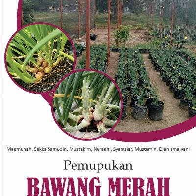 PEMUPUKAN BAWANG MERAH LEMBAH PALU: OPTIMALISASI HASIL DENGAN PUPUK ORGANIK DAN AB MIX