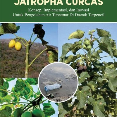 FITOREMEDIASI MENGGUNAKAN JATROPHA CURCAS: KONSEP, IMPLEMENTASI, DAN INOVASI UNTUK PENGOLAHAN AIR TERCEMAR DI DAERAH TERPENCIL