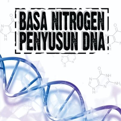 BASA NITROGEN PENYUSUN DNA