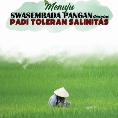 MENUJU SWASEMBADA PANGAN DENGAN PADI TOLERAN SALINITAS