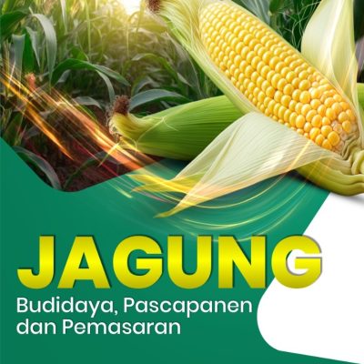 JAGUNG: BUDIDAYA, PASCAPANEN DAN PEMASARAN
